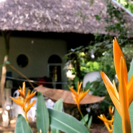 Kim'S Garden Villa Anda  Buitenkant foto