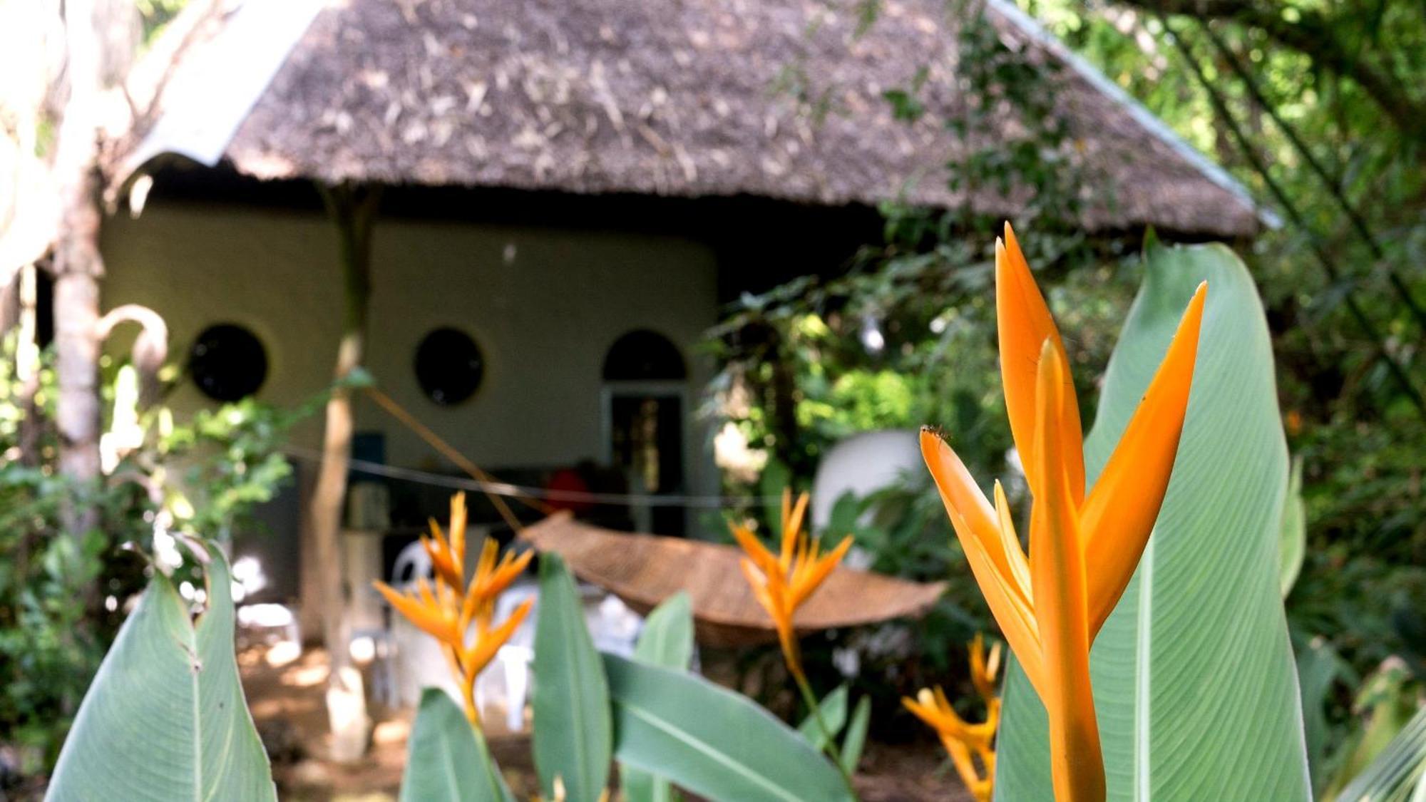 Kim'S Garden Villa Anda  Buitenkant foto