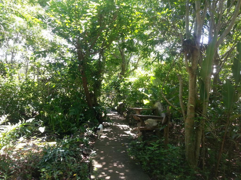 Kim'S Garden Villa Anda  Buitenkant foto