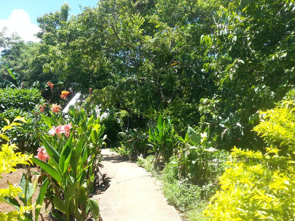 Kim'S Garden Villa Anda  Buitenkant foto